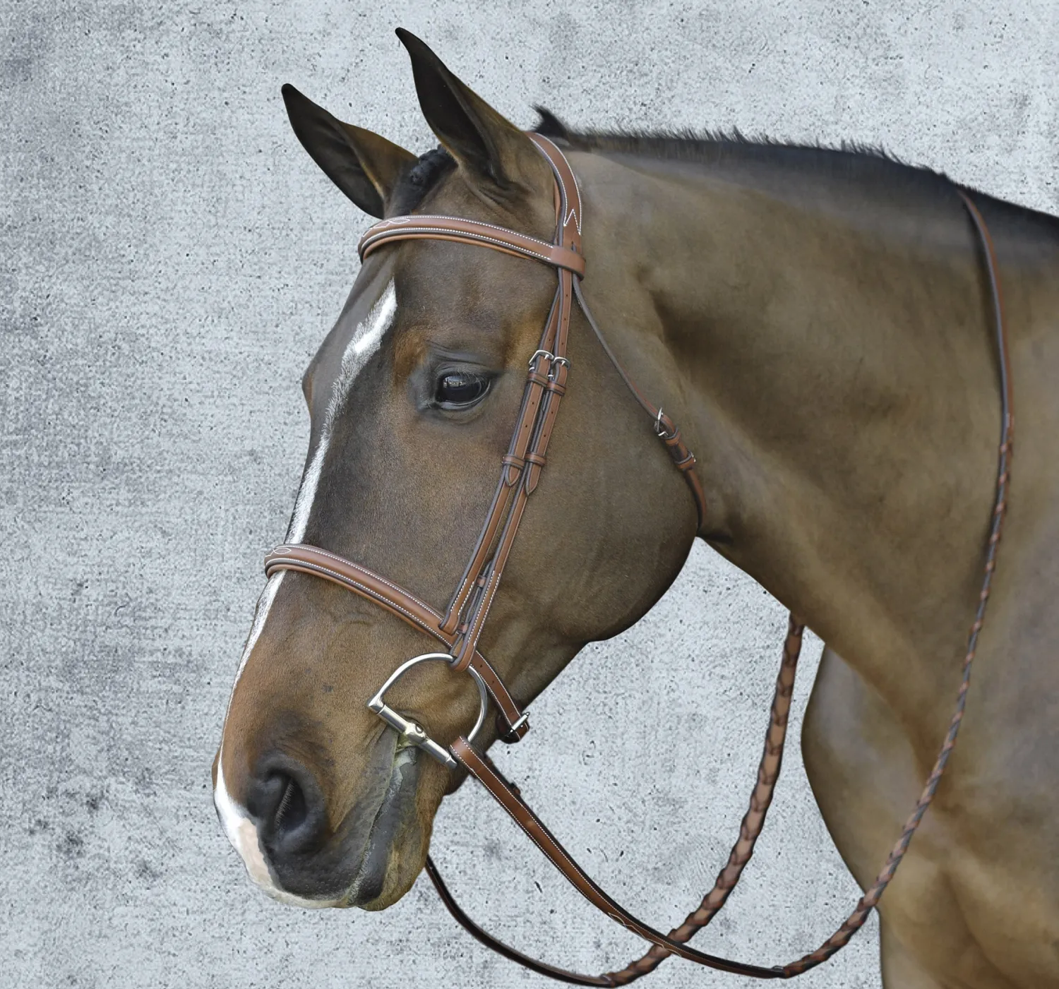 Hot ERS Pessoa® Pro Fancy-Stitched Raised Bridle