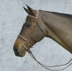Hot ERS Pessoa® Pro Fancy-Stitched Raised Bridle