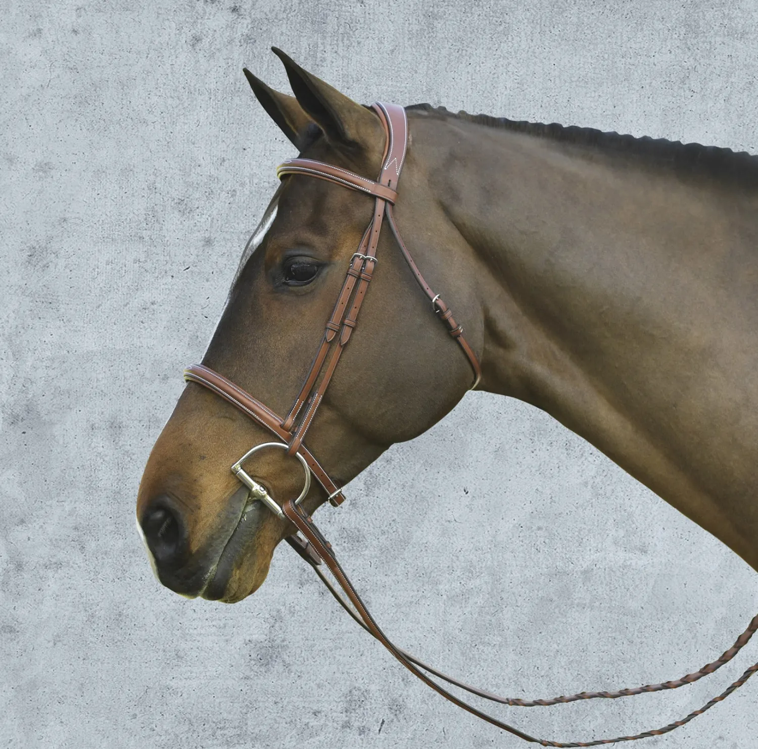 Hot ERS Pessoa® Pro Fancy-Stitched Raised Bridle
