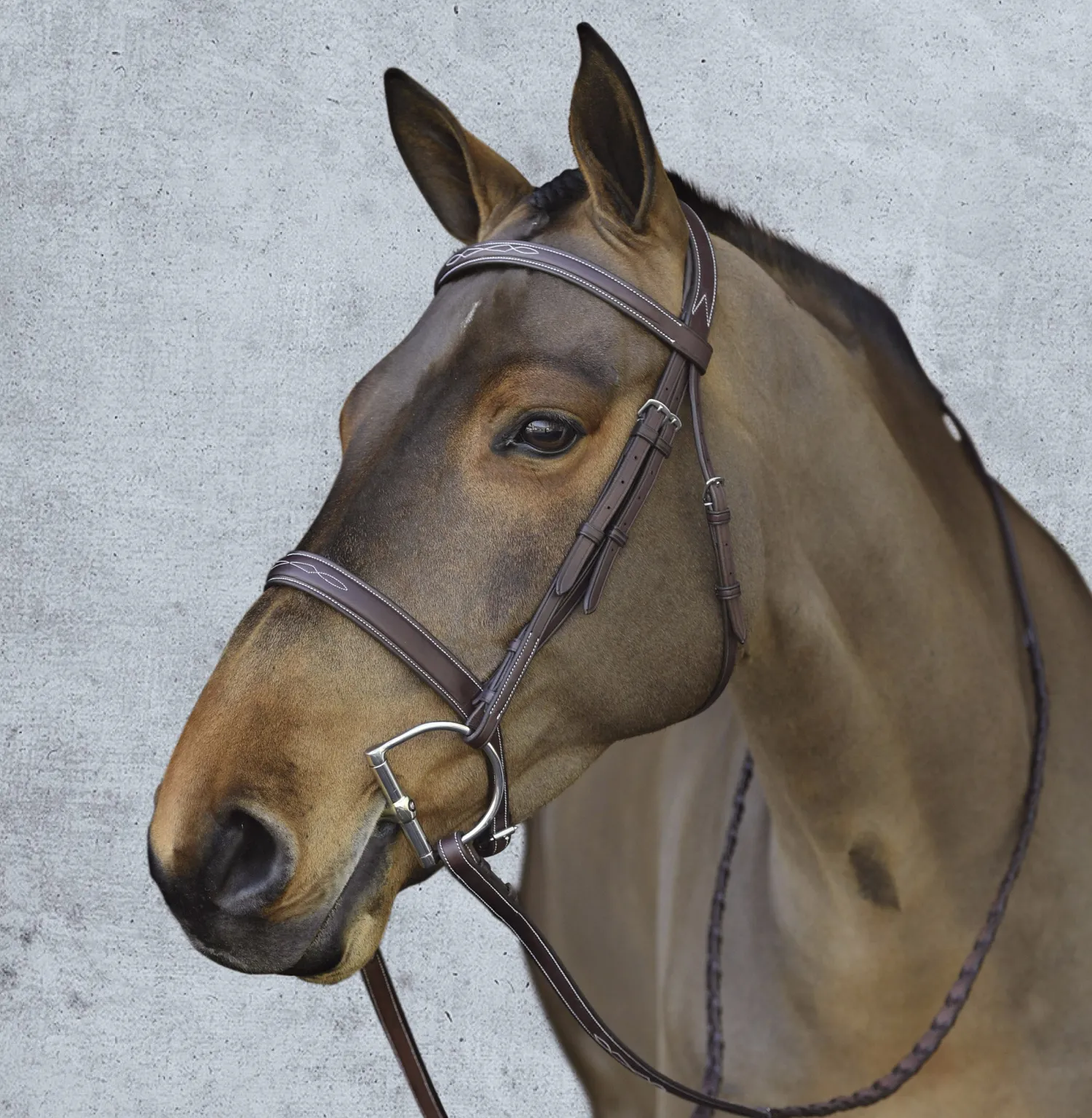 Clearance ERS Pessoa® Pro Fancy-Stitched Wide Nose Bridle