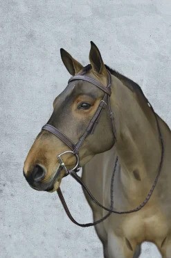 Clearance ERS Pessoa® Pro Fancy-Stitched Wide Nose Bridle