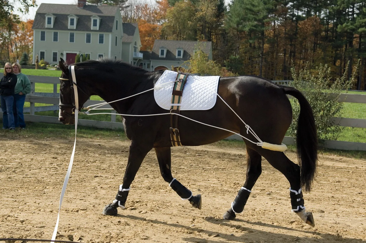 New ERS Pessoa® Training System