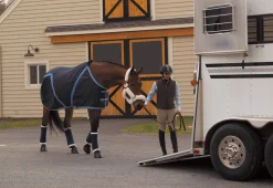 Hot VAC S BANDAGE CO Pony Stable Bandages