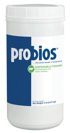 Discount ANIMAL HEALTH INT Probios® Dispersible Powder