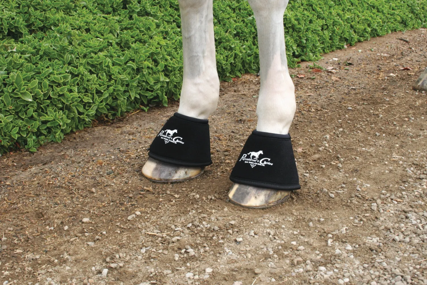 Online PROFESSIONALS CHOICE Professional's Choice Quick Wrap™ Bell Boots