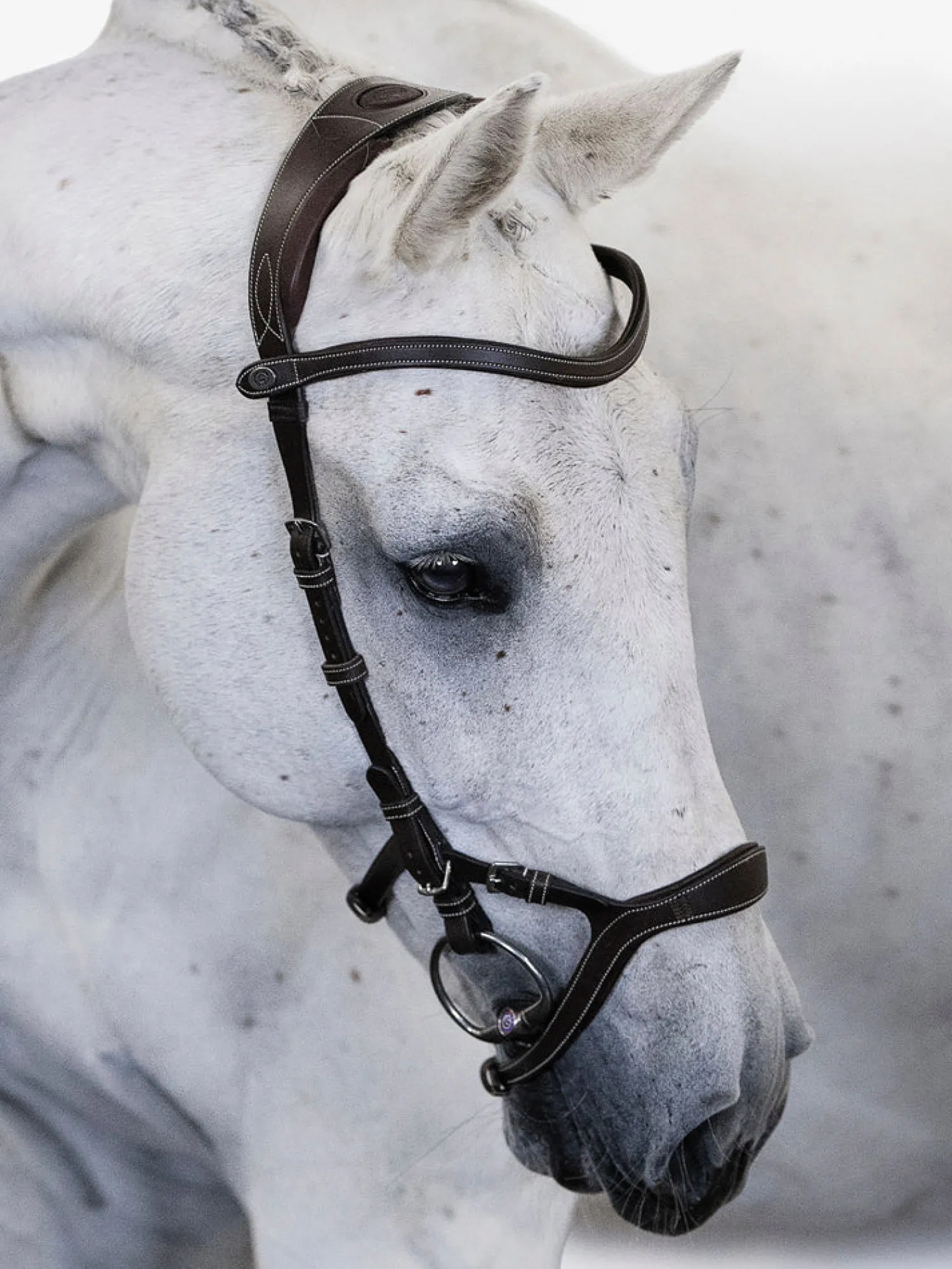 Online PS OF SWEDEN Nirak™ Bridle