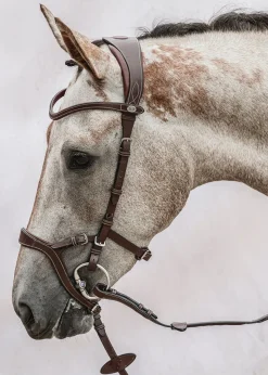 Online PS OF SWEDEN Nirak™ Bridle