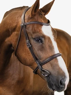 Clearance PS OF SWEDEN Ocala Hunter Bridle Brown