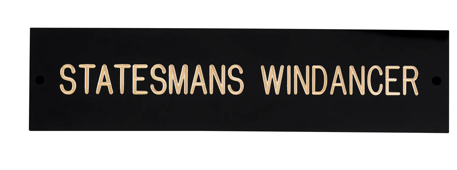Outlet CRW Rectangular Black & Brass Stall Plate - 3 lines Black/Brass