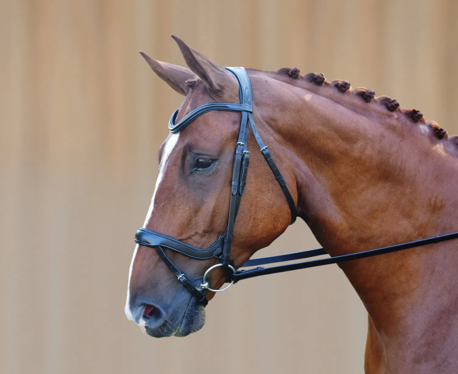 Outlet KL SELECT Red Barn Arena Ergonomic Snaffle Black