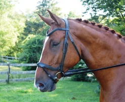 Outlet KL SELECT Red Barn Arena Ergonomic Snaffle Black