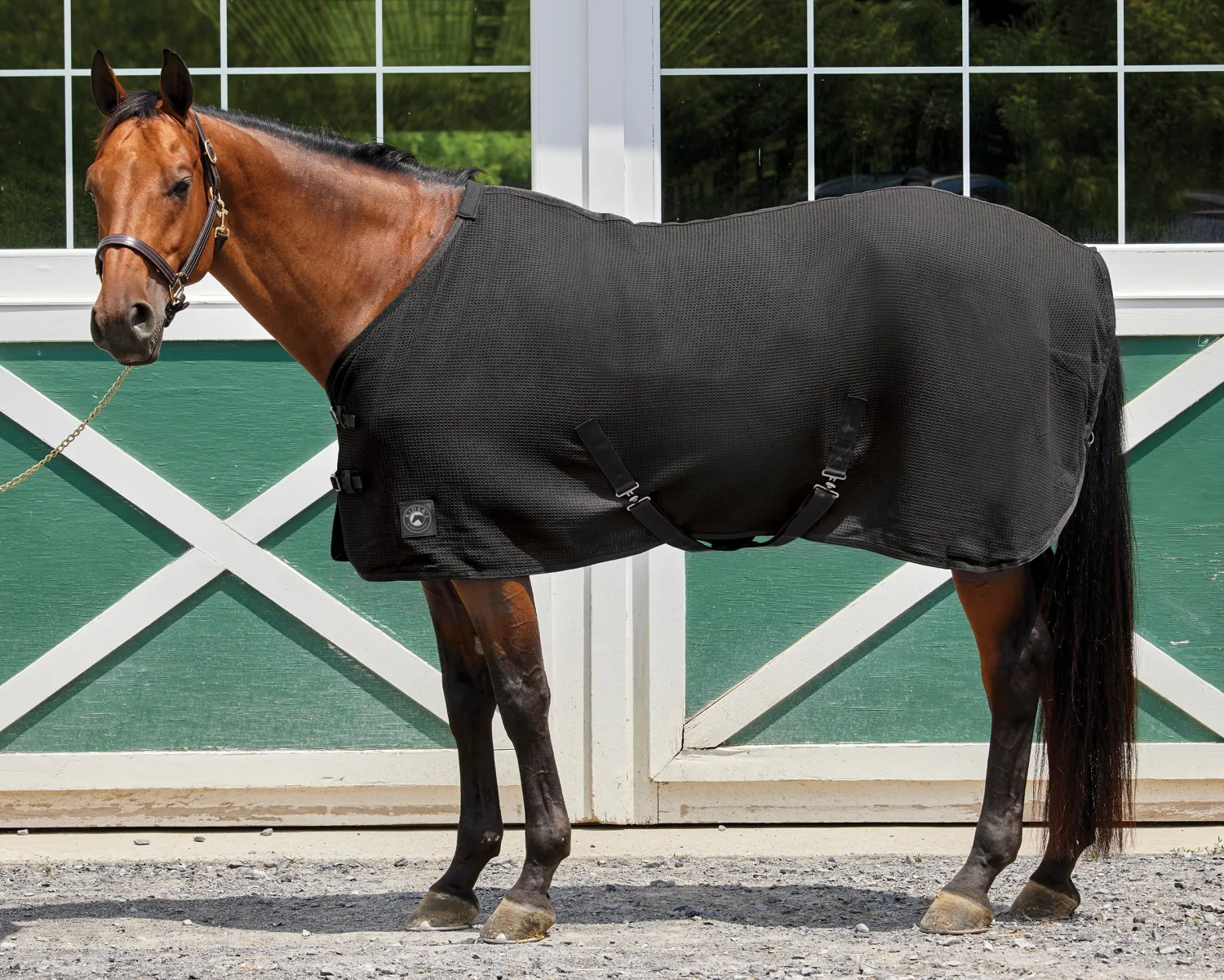 Sale INTEX EQUESTRIAN Rider’s International™ Chill Chaser