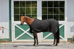 Sale INTEX EQUESTRIAN Rider’s International™ Chill Chaser