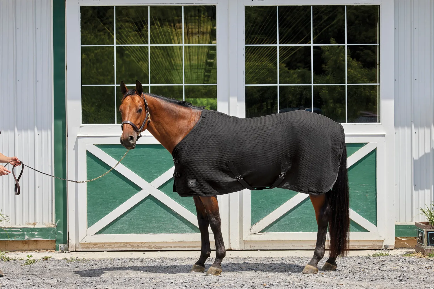 Sale INTEX EQUESTRIAN Rider’s International™ Chill Chaser