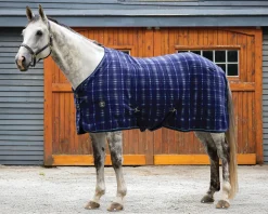 Clearance INTEX EQUESTRIAN Rider’s International™ Classic Cooler–Plaid