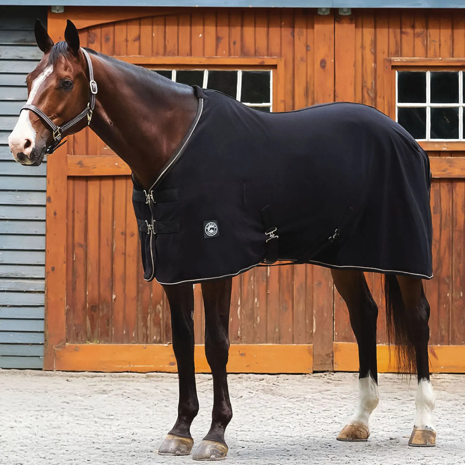 Best INTEX EQUESTRIAN Rider’s International™ Classic Cooler Black/Tan