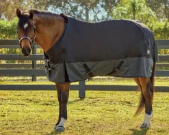 Best S.K. EXPORTS Rider’s International™ 600D Reflective Turnout Sheet Black/Reflective