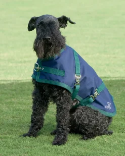 Discount CWEAR BRANCH Rider’s International™ Dog Turnout Sheet