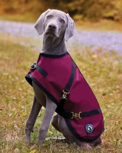 Discount CWEAR BRANCH Rider’s International™ Dog Turnout Sheet