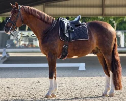Online GLOBAL EXPORTS Rider’s International™ Luxury Dressage Pad