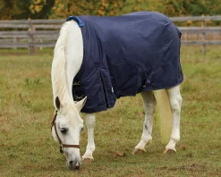 Outlet S.K. EXPORTS Rider’s International™ Pony Turnout Sheet