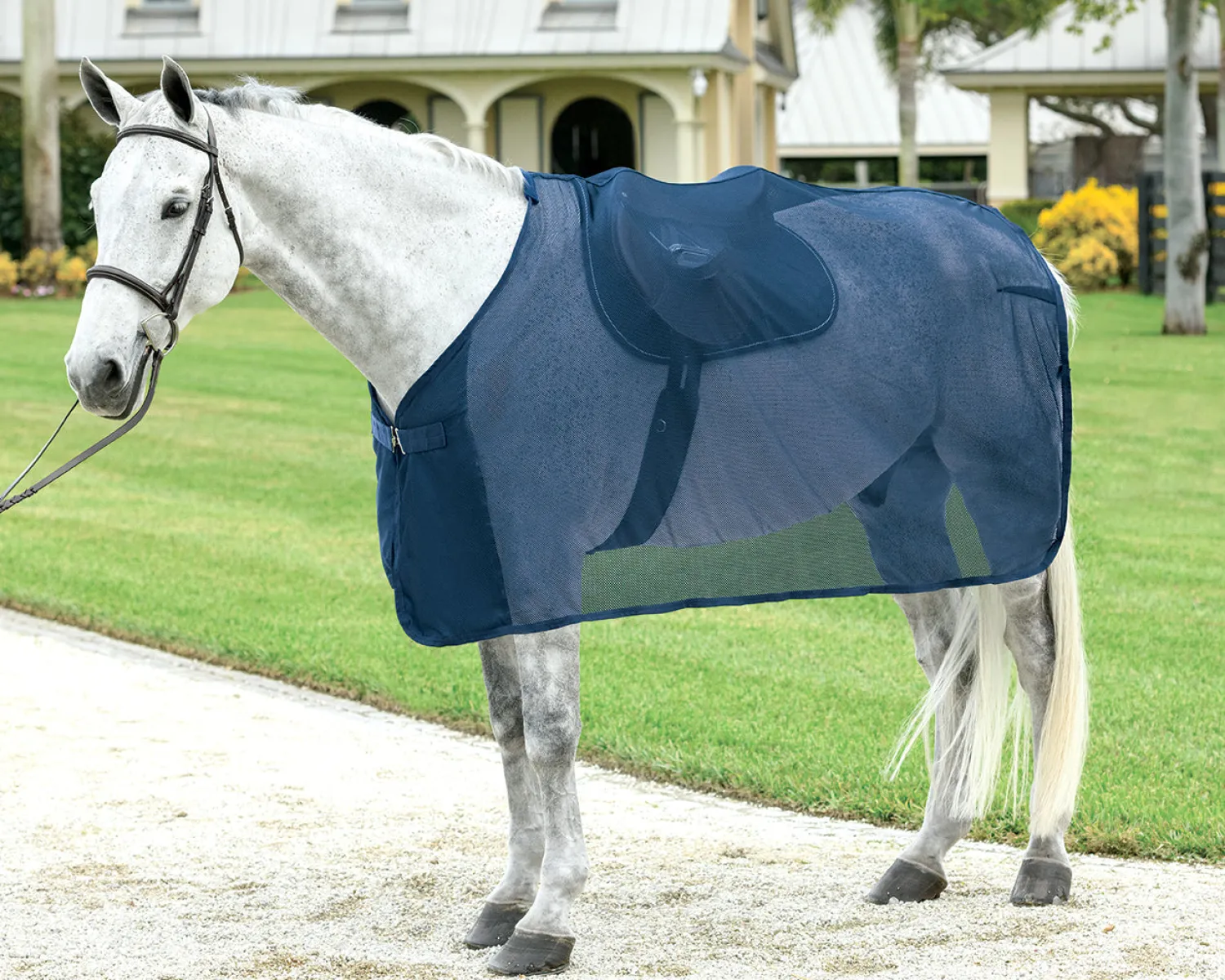 Discount S.K. EXPORTS Rider’s International™ Ringside Scrim Sheet