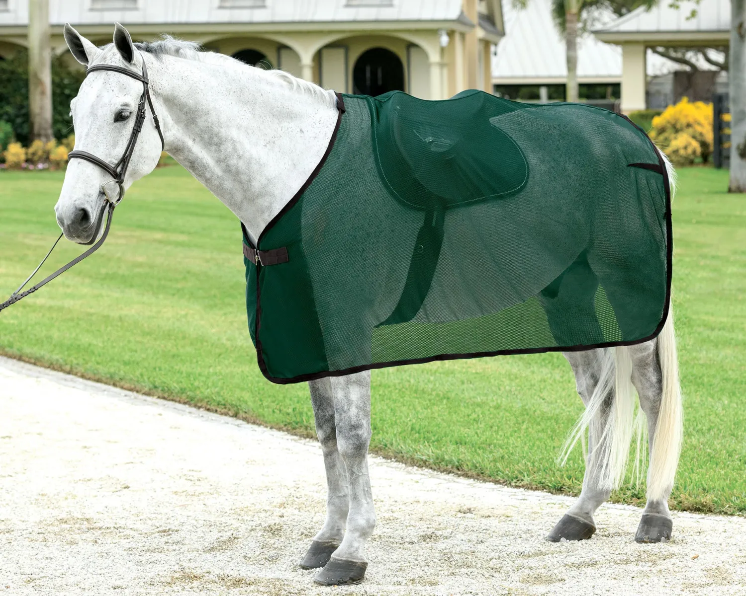 Discount S.K. EXPORTS Rider’s International™ Ringside Scrim Sheet