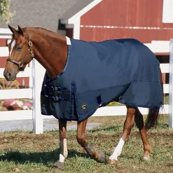 Online CWEAR BRANCH Rider’s International™ Supreme Heavyweight Turnout Blanket