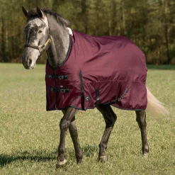Online CWEAR BRANCH Rider’s International™ Supreme Heavyweight Turnout Blanket