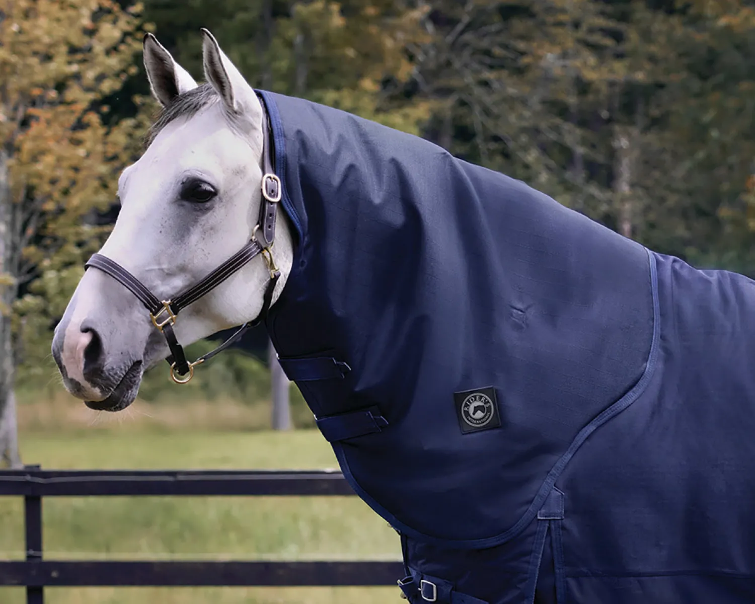 New CWEAR BRANCH Rider’s International™ Supreme Hood–200G