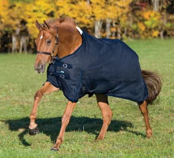 Clearance CWEAR BRANCH Rider’s International™ Supreme 100 Gram Turnout Blanket