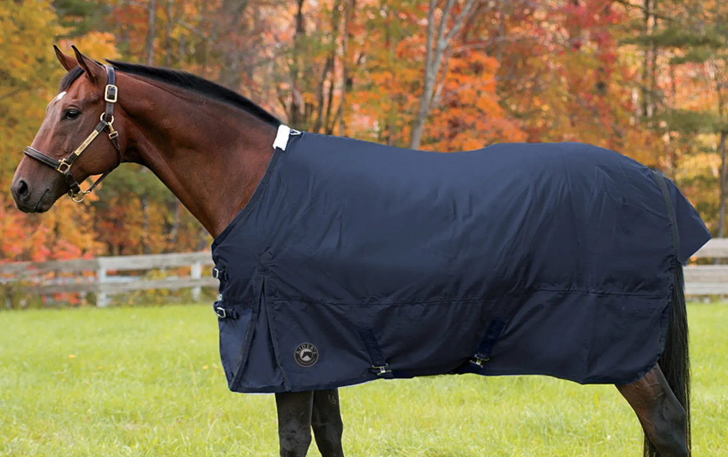 Clearance CWEAR BRANCH Rider’s International™ Supreme Medium-Weight Turnout Blanket