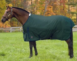 Clearance CWEAR BRANCH Rider’s International™ Supreme Medium-Weight Turnout Blanket