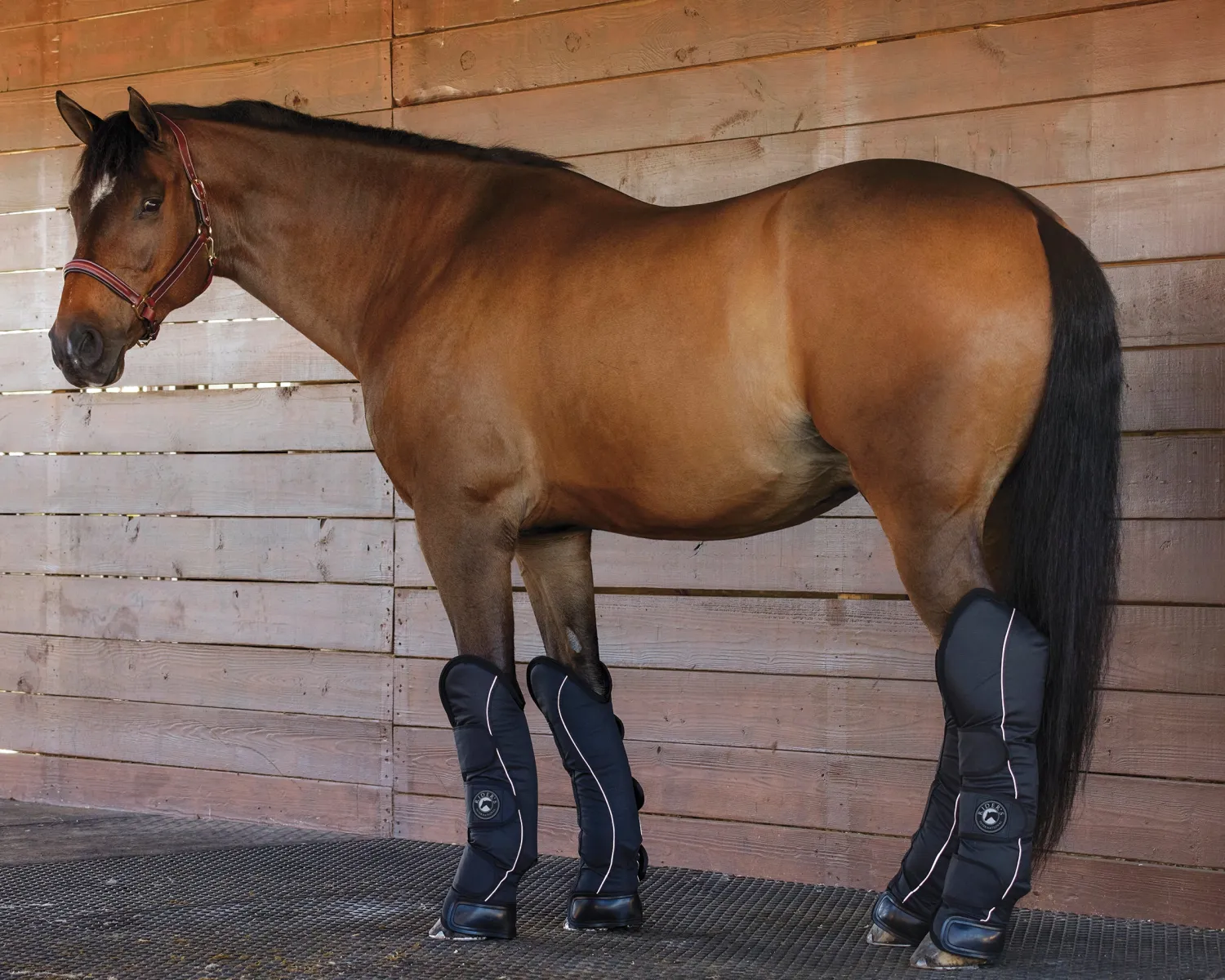New KARTIKEYA INTL Rider’s International™ Shipping Boot Set Black