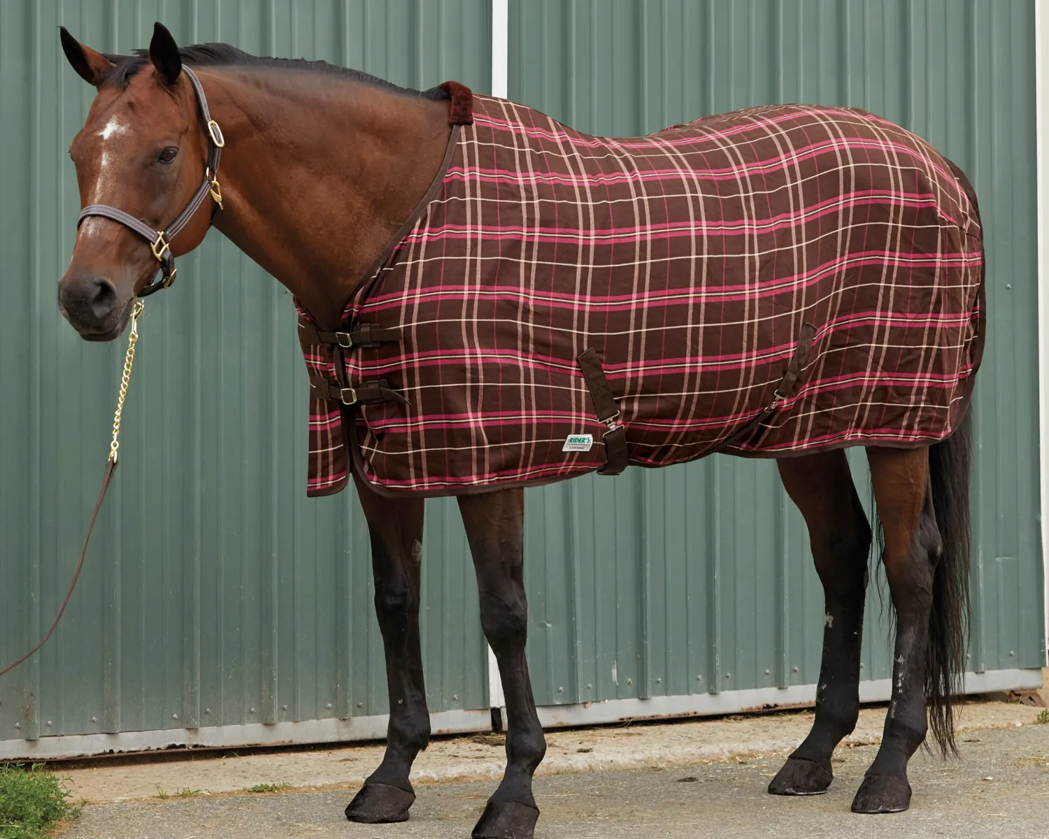 Clearance S.K. EXPORTS Rider’s International™ Stable Sheet
