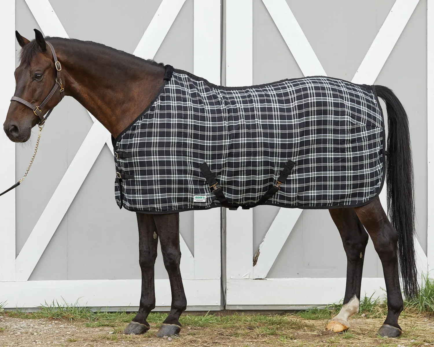 Clearance S.K. EXPORTS Rider’s International™ Stable Sheet