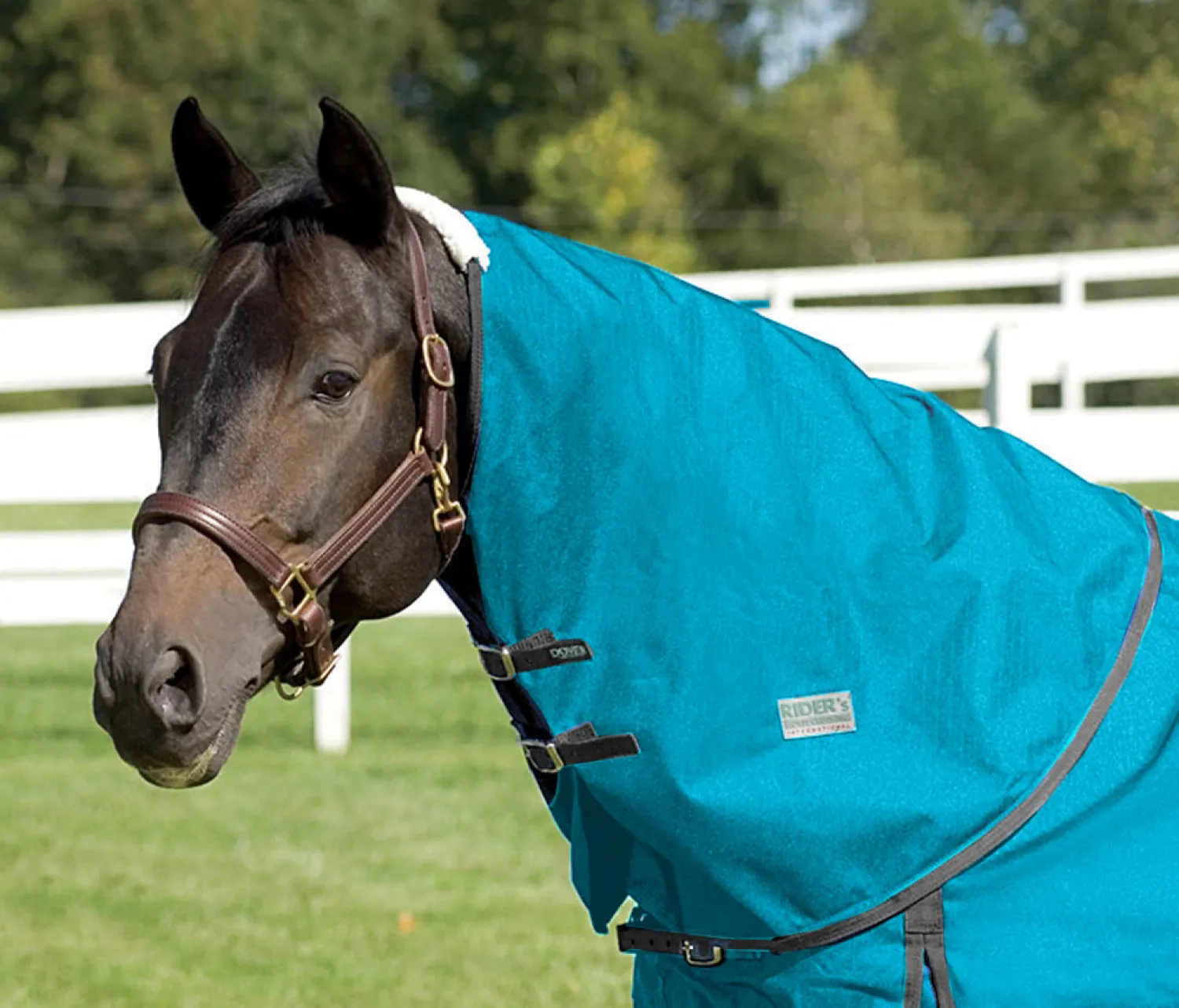 Clearance CWEAR BRANCH Rider’s International™ Supreme Neck Cover