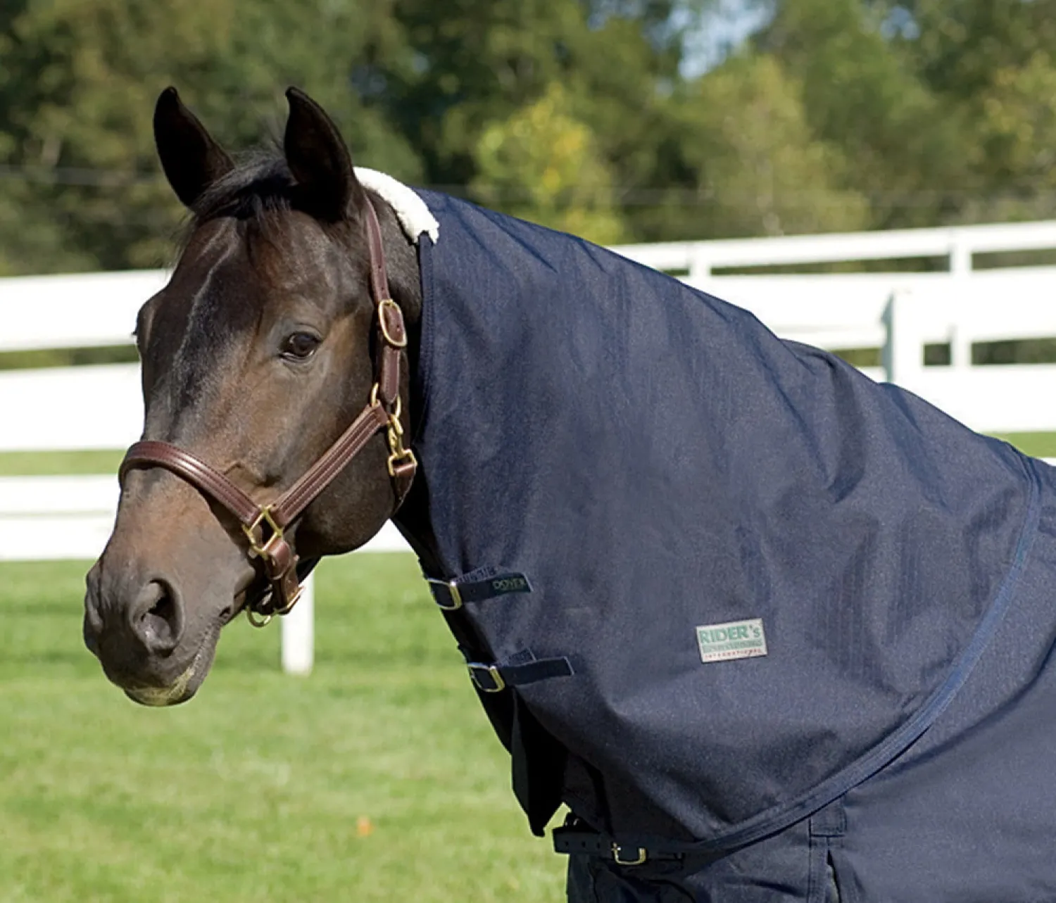Clearance CWEAR BRANCH Rider’s International™ Supreme Neck Cover