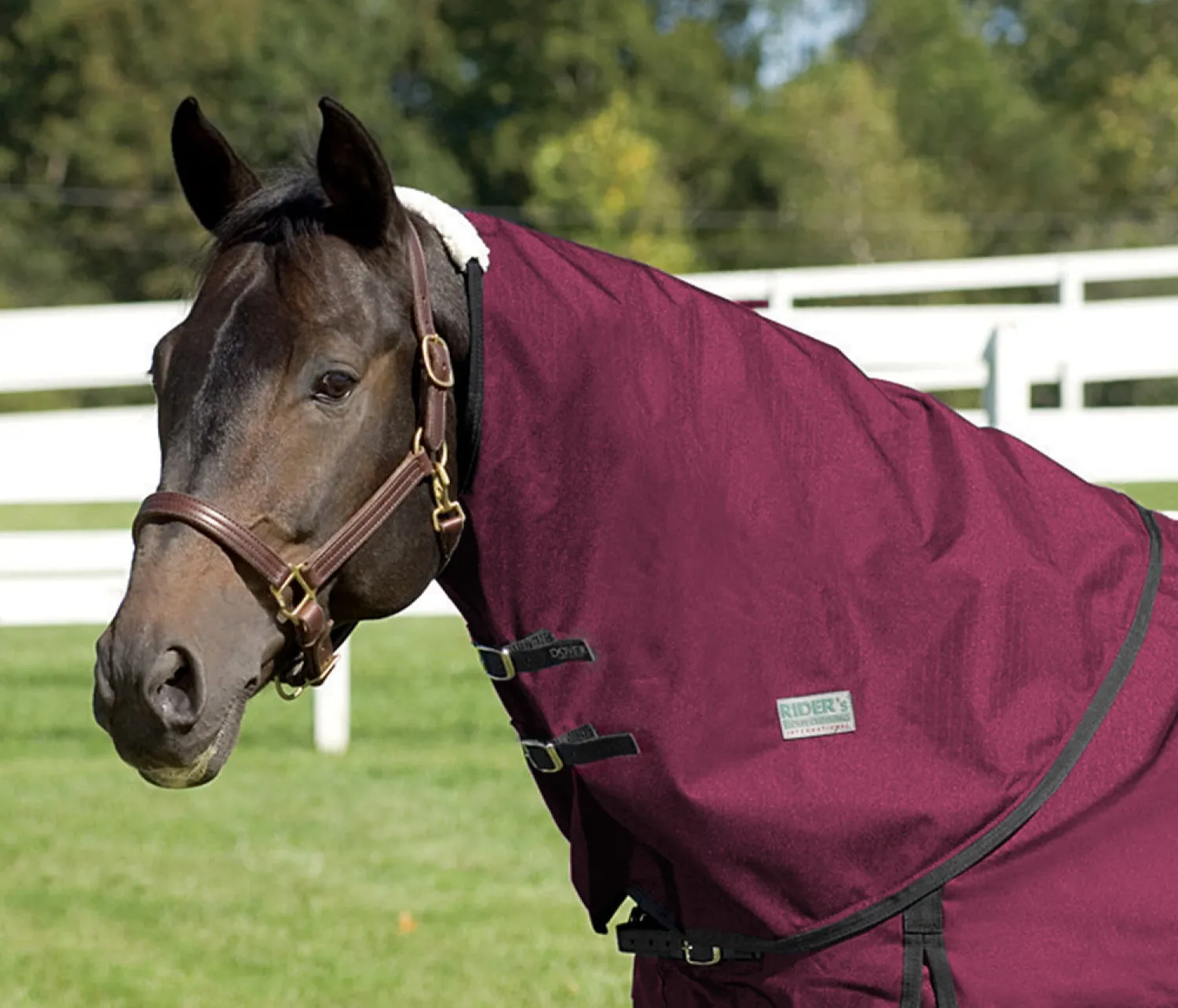 Clearance CWEAR BRANCH Rider’s International™ Supreme Neck Cover