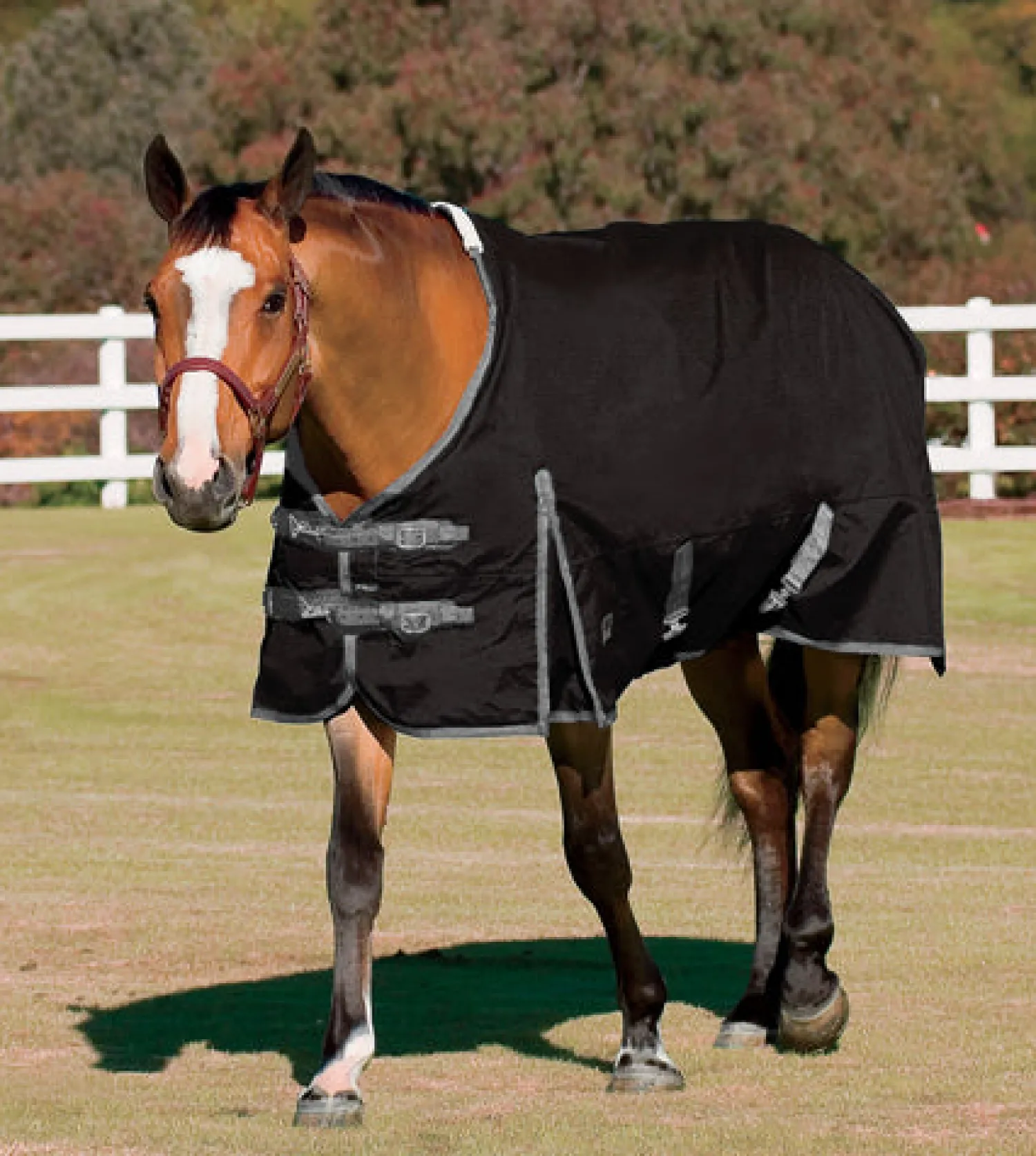 Hot CWEAR BRANCH Rider’s International™ Supreme Turnout Sheet