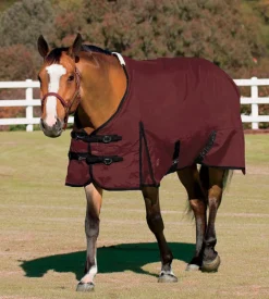 Hot CWEAR BRANCH Rider’s International™ Supreme Turnout Sheet