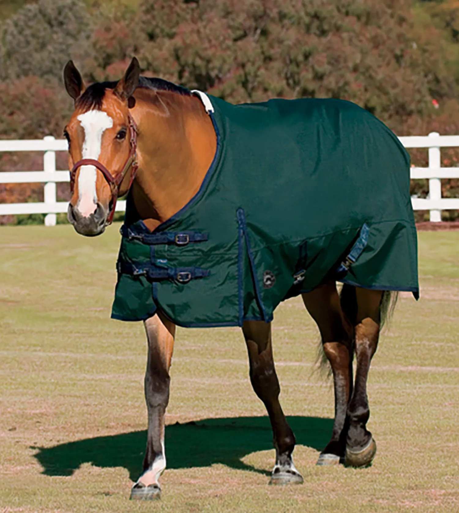Hot CWEAR BRANCH Rider’s International™ Supreme Turnout Sheet