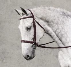 ERS Rodrigo Classic Hunter Bridle