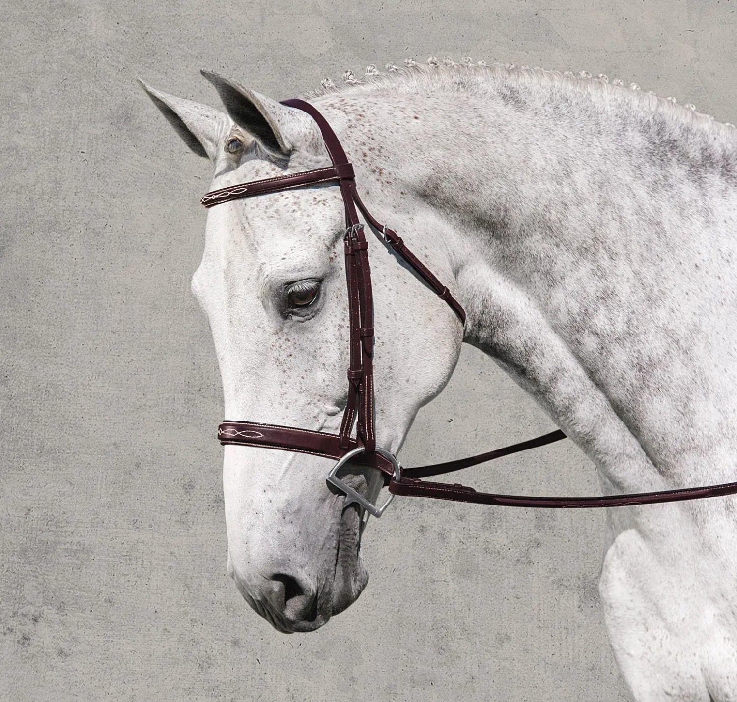 ERS Rodrigo Classic Hunter Bridle