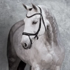 Clearance SCHOCKEMOEHLE N.A. Schockemöhle Equitus Alpha Bridle