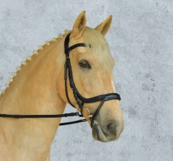 Clearance SCHOCKEMOEHLE N.A. Schockemöhle Equitus Alpha Bridle