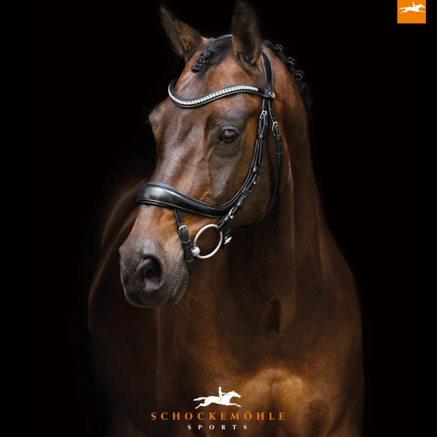 Sale SCHOCKEMOEHLE N.A. Schockemöhle Equitus Beta Bridle Black/Silver