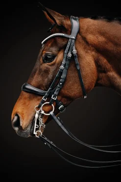 Outlet SCHOCKEMOEHLE N.A. Schockemöhle Equitus Gamma Double Bridle