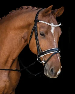 Sale SCHOCKEMOEHLE N.A. Schockemöhle Malaga Bridle