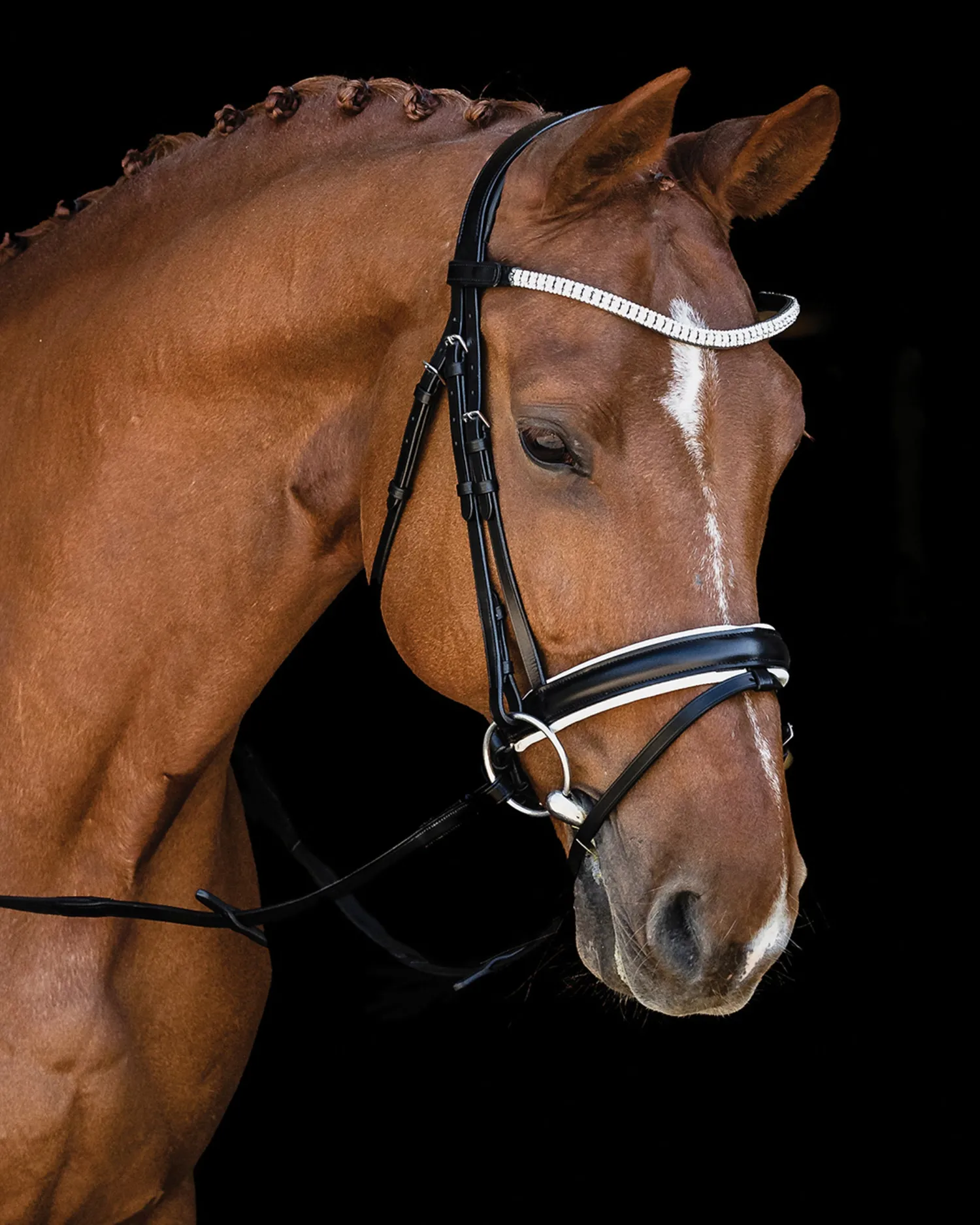 Sale SCHOCKEMOEHLE N.A. Schockemöhle Malaga Bridle